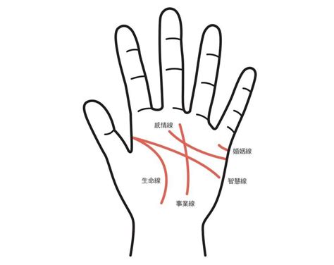 感情線智慧線相連|【手相初學者指南】為什麼要看手相？手相怎麼看？智。